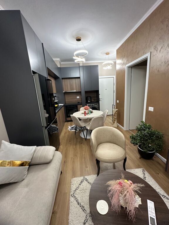 Affittasi Super Appartamento 1+1 presso Ali Demi a Tirana