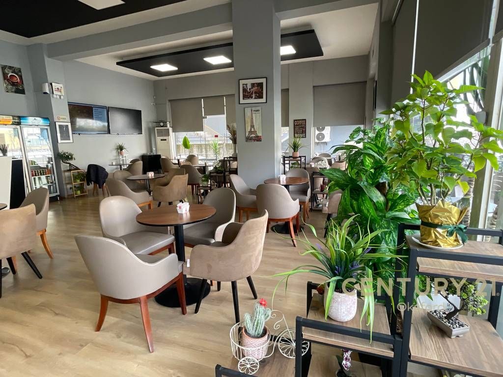 LOKAL KAFE PER SHITJE