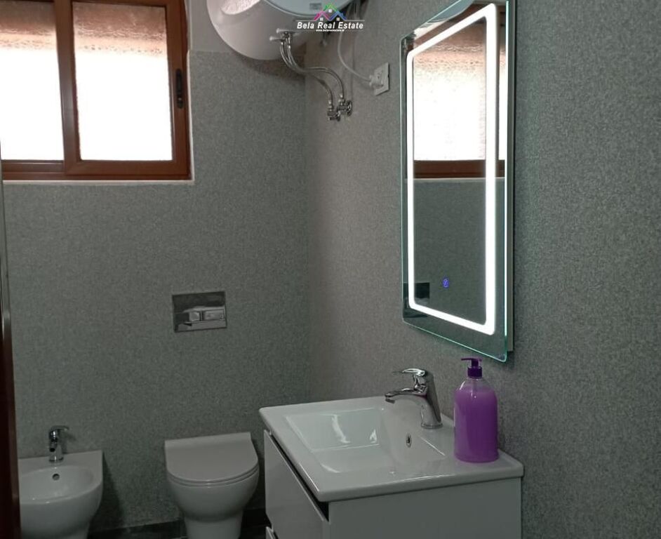 Apartament Me Qera 1+1 Tek Mine Peza (ID B211426) Tirane