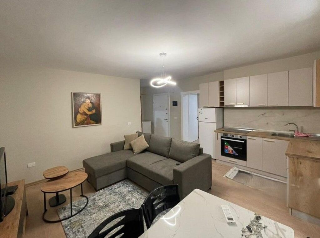 APARTMENT FOR RENT 2+1 AT 21 DECEMBER
