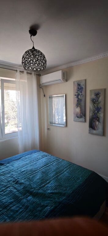 1+1 55000 lek