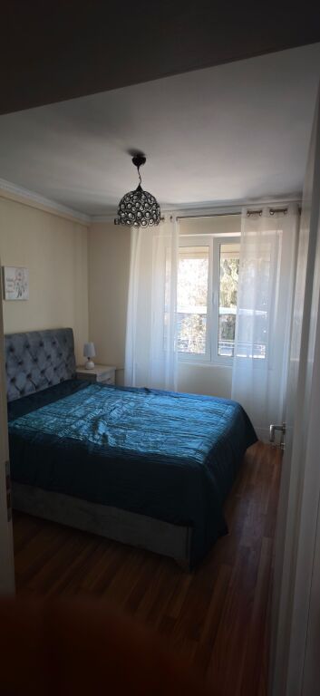 1+1 55000 lek