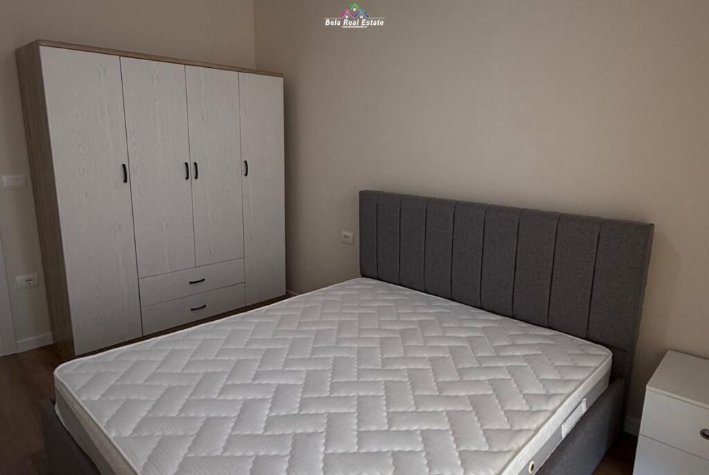 Appartamento In Affitto 1+1 A 5 Maj ( ID B2101521) Tirana