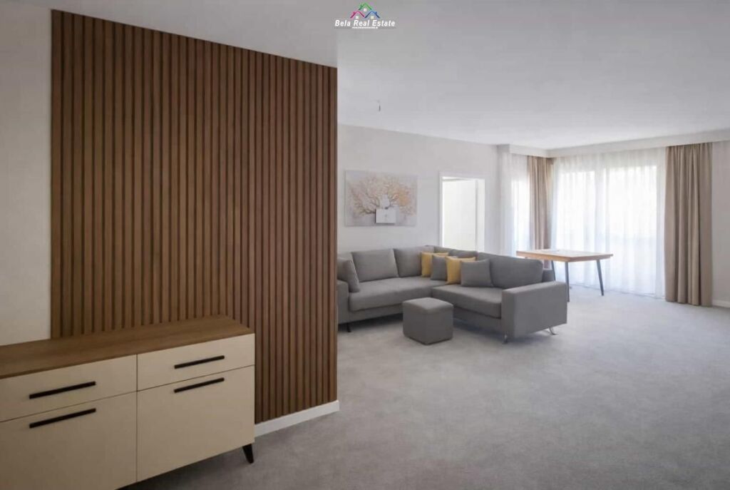 Appartamento In Affitto 1+1 Presso Dritan Hoxha ( ID B2101530) Tirana