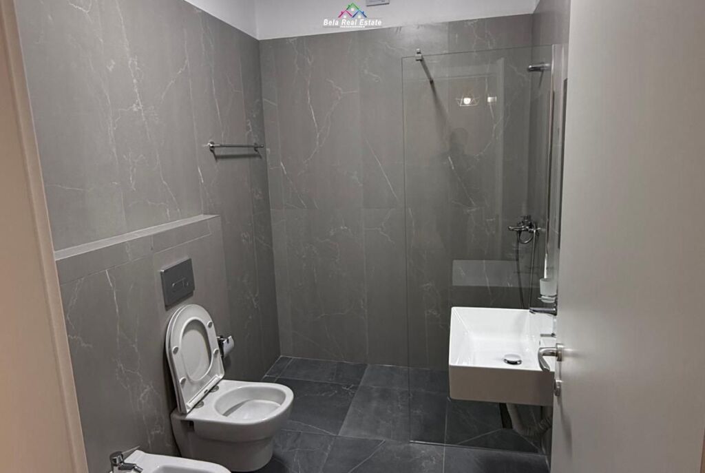 Appartamento In Affitto 1+1 A 5 Maj ( ID B2101521) Tirana