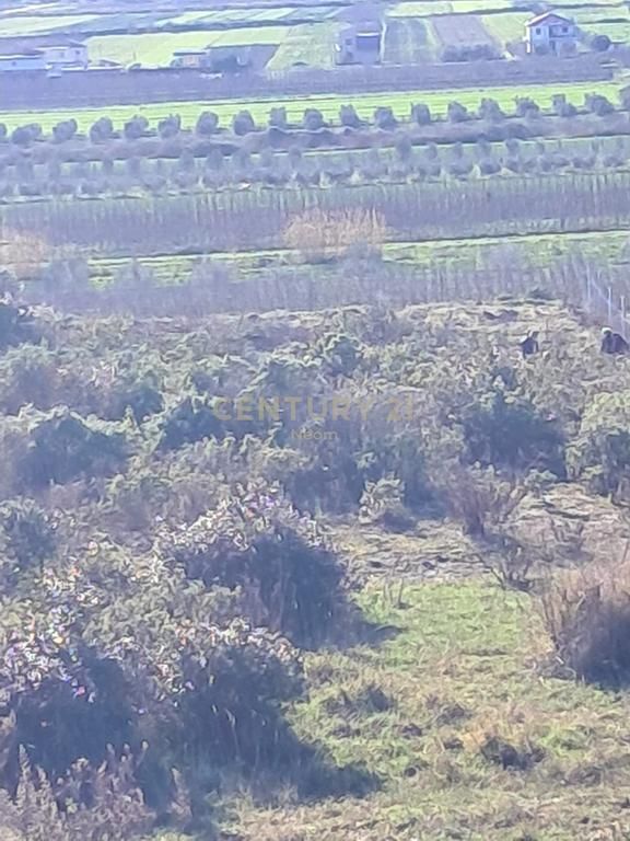 Land for Sale in Spille – 5,930 m² 180,000 €