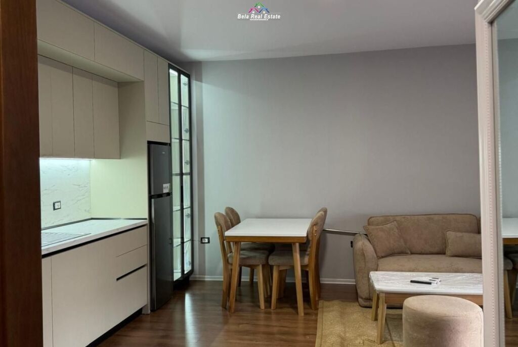 Apartment for Rent 1+1 Near New Boulevard (ID B2101528) Tirana