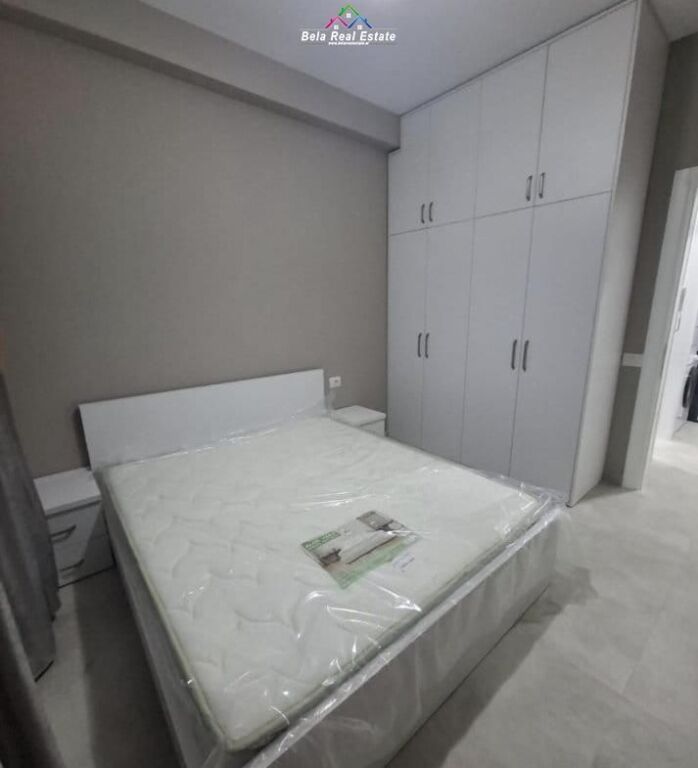 Appartamento In Affitto 1+1 Vicino Ospedale Americano 3 (ID B2101300) Tirana