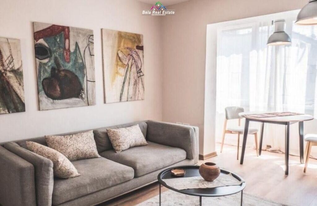 Appartamento In Affitto 1+1 In Via Fortuzi ( ID B211429) Tirana