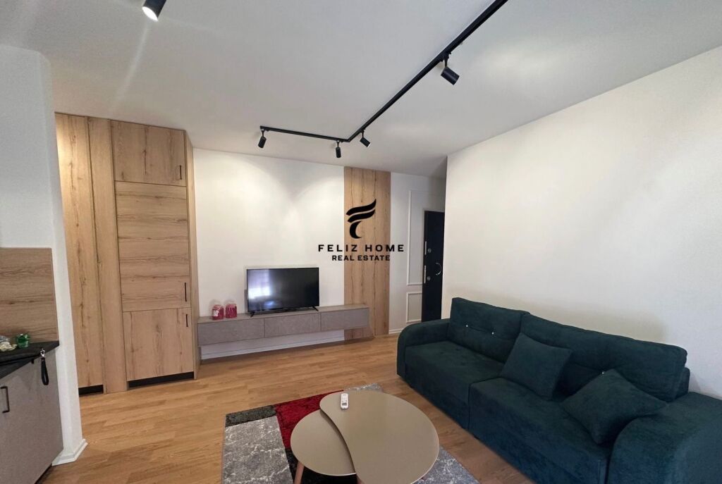 APARTMENT FOR RENT 1+1 SELITE 550 EURO FH-57980