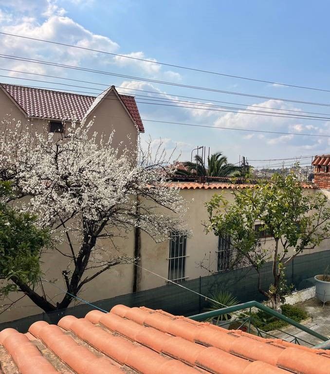 Appartamento 2+1 al primo piano in villa di 3 piani in vendita – Shkozë, Tirana