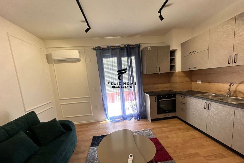 APARTMENT FOR RENT 1+1 SELITE 550 EURO FH-57980