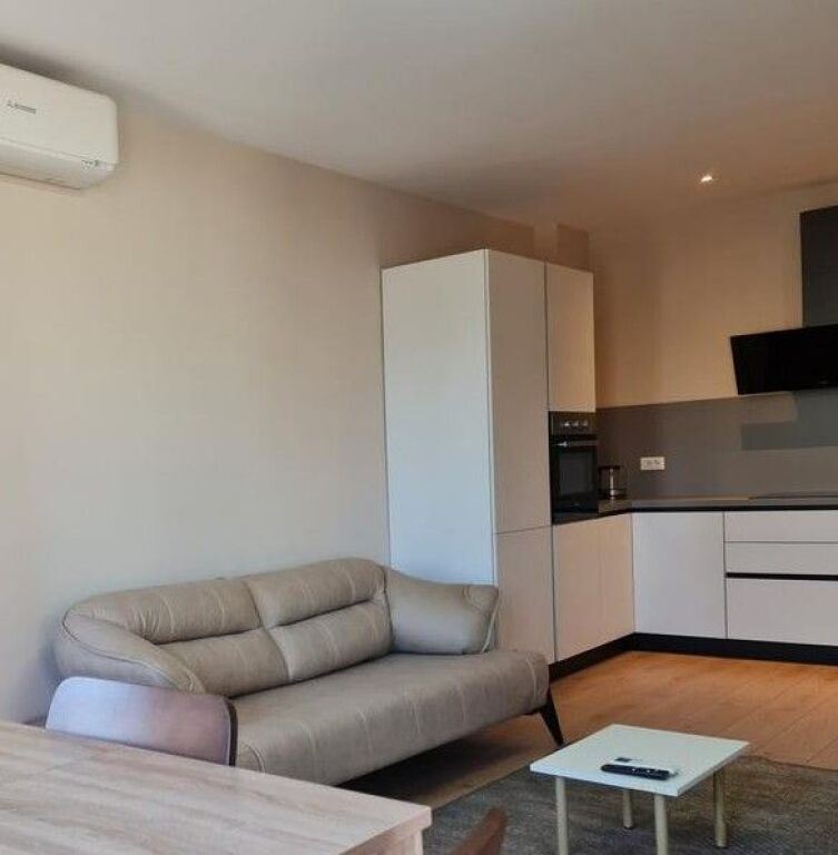 Apartament 1+1 Me Qira tek Zogu i zi,Foleja e Gjelber