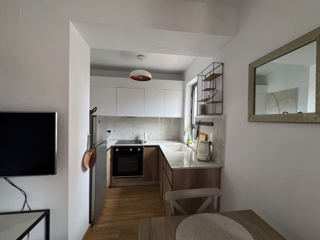 Apartament 1+1