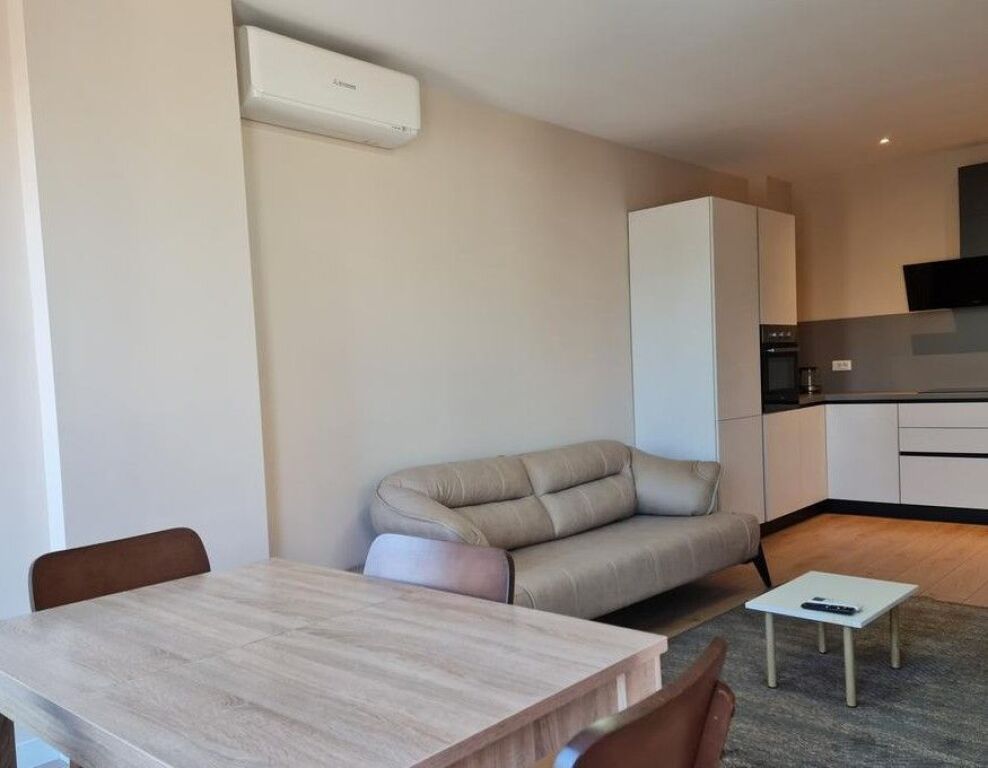 Apartament 1+1 Me Qira tek Zogu i zi,Foleja e Gjelber
