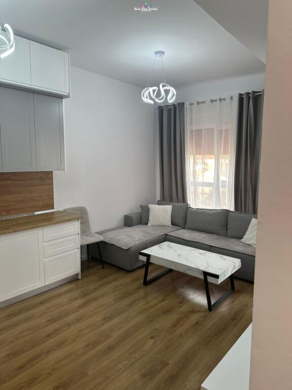 Appartamento In Affitto 1+1 A Ali Dem (ID B2101540) Tirana​
