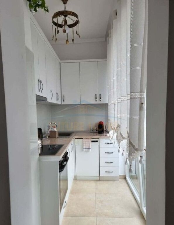 Rent, Apartment 1+1, Cafe Flora