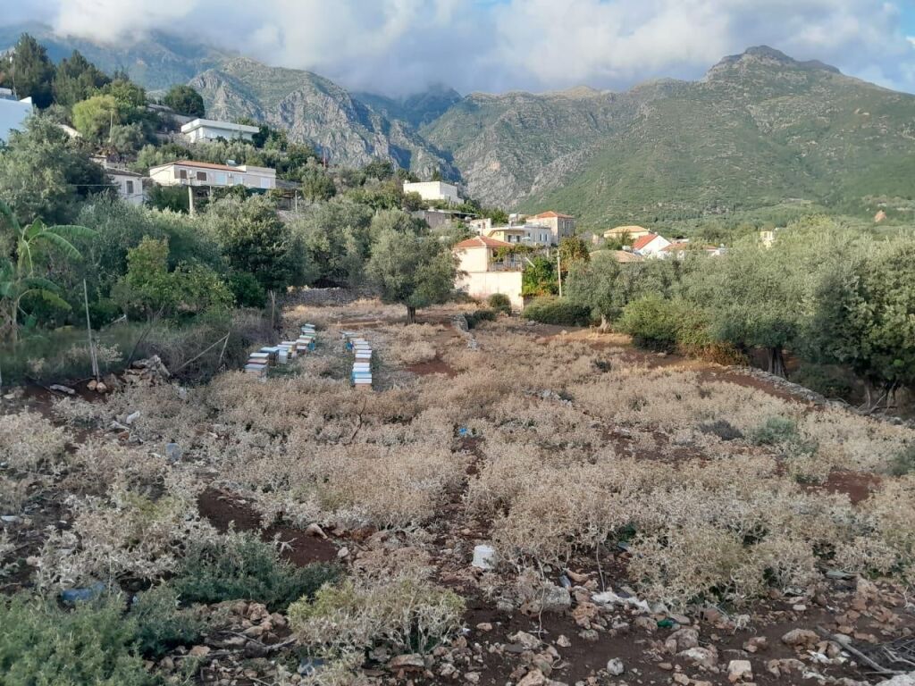 Private house + Land Ilias