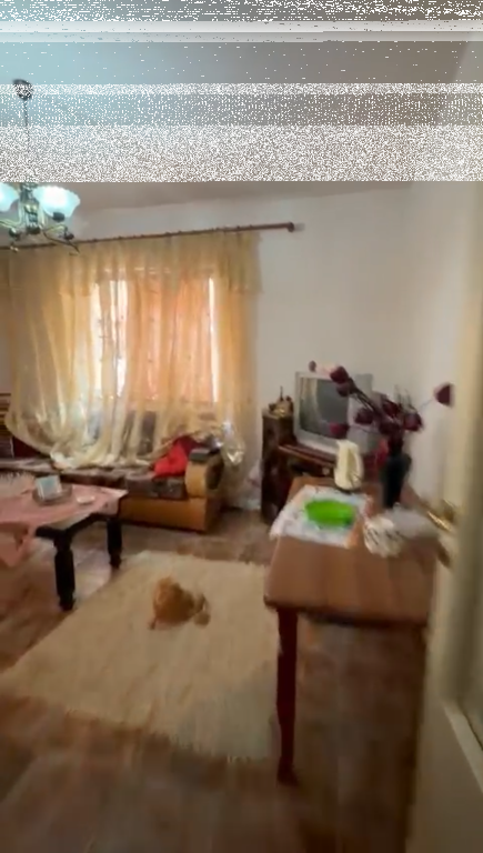 Apartment 2+1, Zoo Garden!