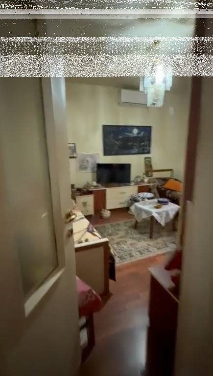 Apartment 2+1, Zoo Garden!