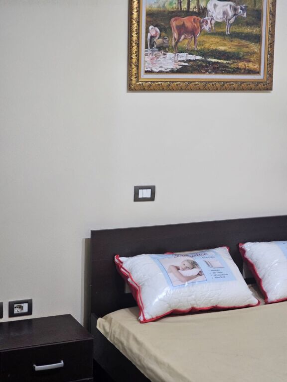 1+1,furnished at the Albanian post office Wilson square, 500 thousand lek negotiable
