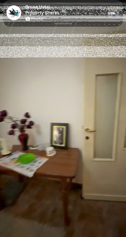 Apartment 2+1, Zoo Garden!