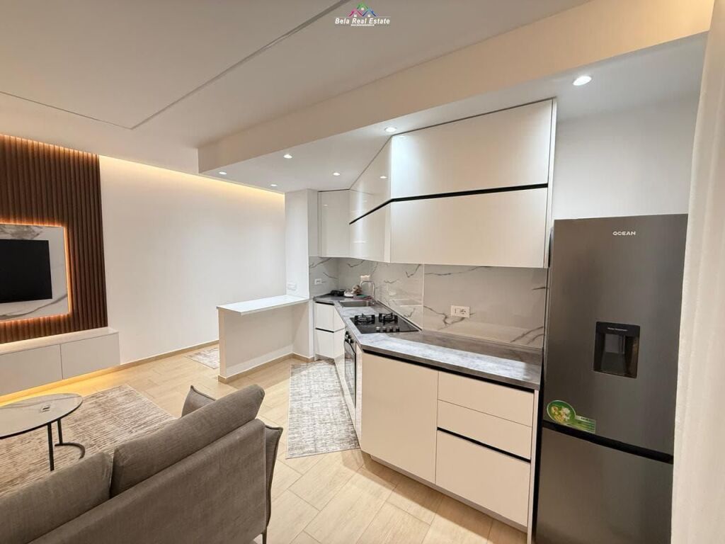 Apartament Me Qera 1+1 Tek Kopshti Botanik (ID B2101368) Tirane