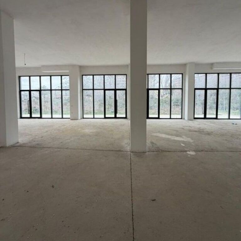 Locale Commerciale in Affitto Green City– Nuovo Anello