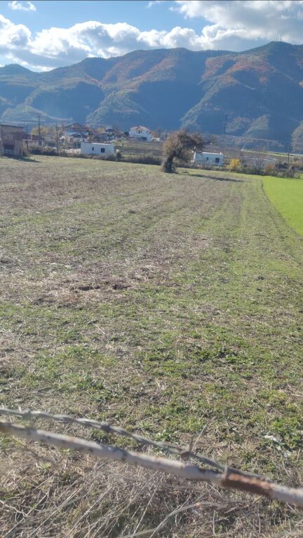 Land for sale in Gramsh