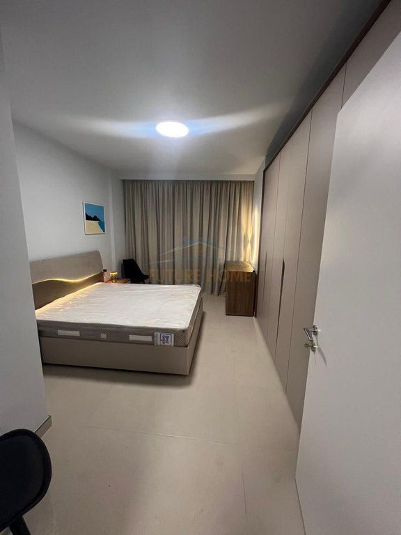 Rent, Apartment 1+1+Parking Space, Former Customs, Tirana.