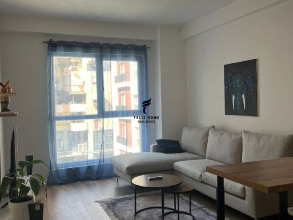 APPARTAMENTO IN AFFITTO 1+1 LAPRAKE 55.000 LEKE