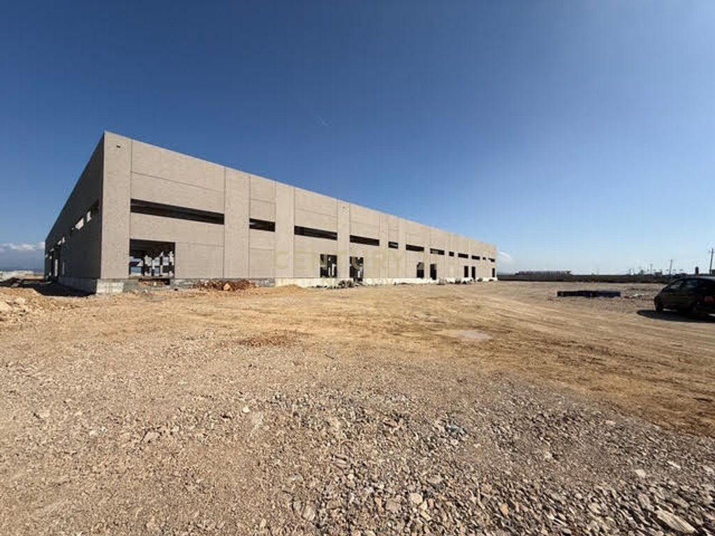 WAREHOUSE 10 000m2 FOR RENT NEAR THE NEW PORT