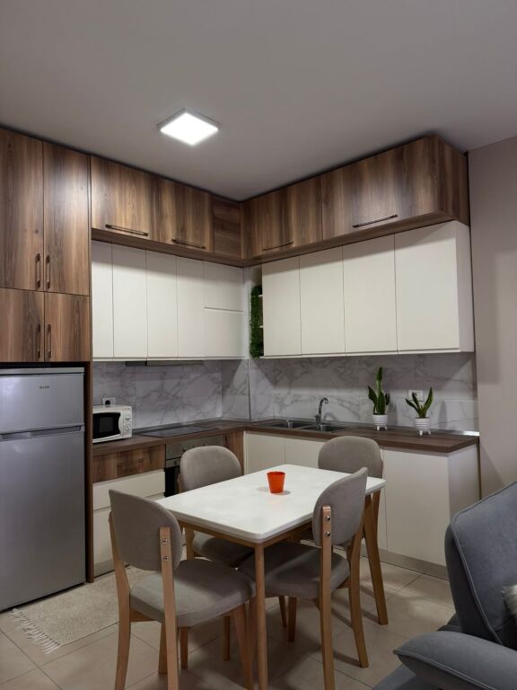 Apartment 1+1 for rent at Aviation Field