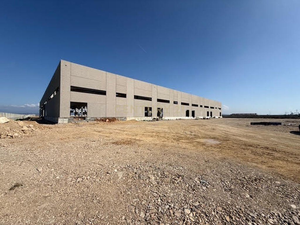 WAREHOUSE 10 000m2 FOR RENT NEAR THE NEW PORT