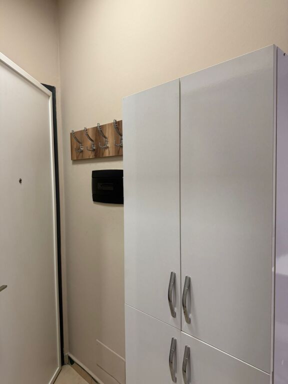 Apartment 1+1 for rent at Aviation Field