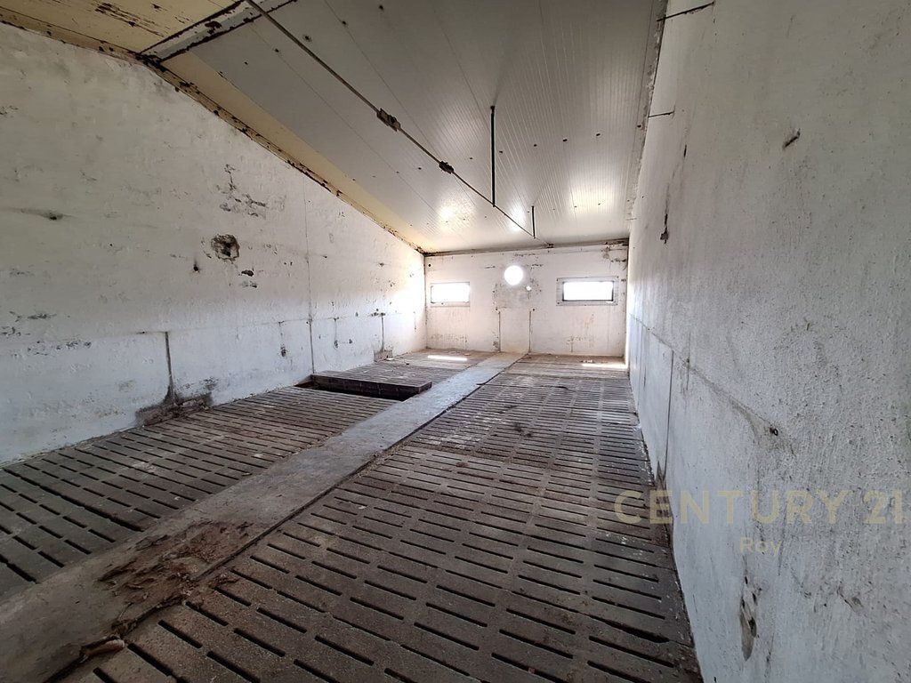 WAREHOUSE FOR SALE IN XHAFZOTAJ, 1384 M2, 3722 M2 LAND