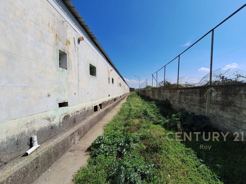 WAREHOUSE FOR SALE IN XHAFZOTAJ, 1384 M2, 3722 M2 LAND