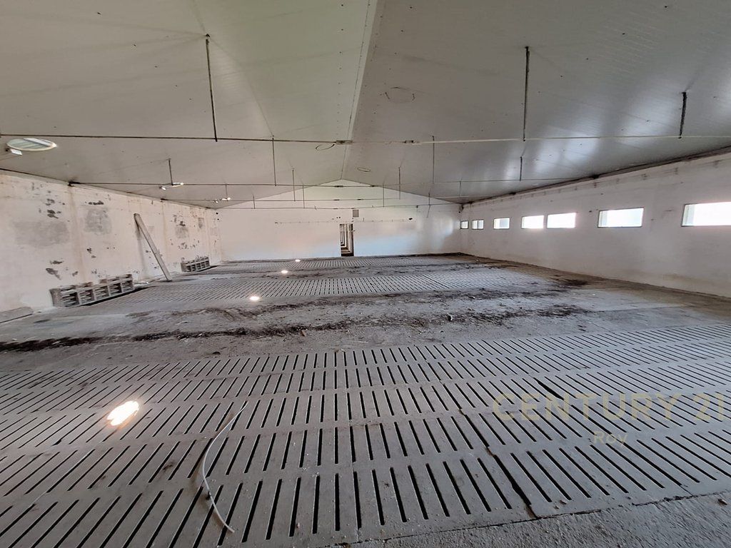 WAREHOUSE FOR SALE IN XHAFZOTAJ, 1384 M2, 3722 M2 LAND
