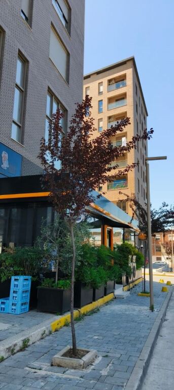 🏠 Shesim Apartament Elitar 4+1+ 2bll +3 wc .