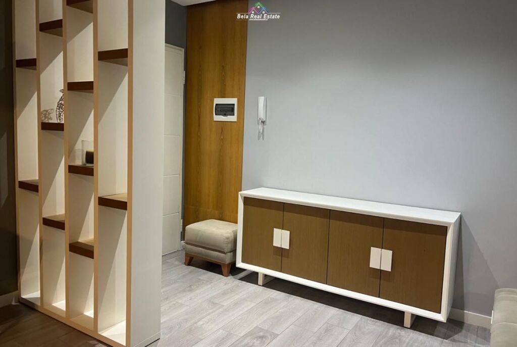 Appartamento In Affitto 2+1 Vicino Al Vecchio Parco (ID B2201796) Tirana