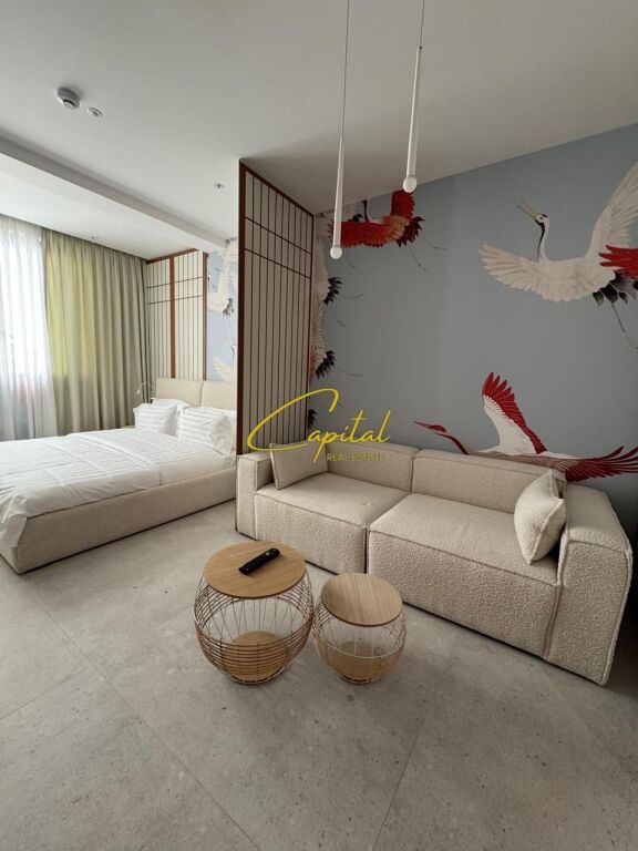 APARTMENTS FOR RENT FOR AIR BNB MINE PEZA STREET 2,200 EURO
