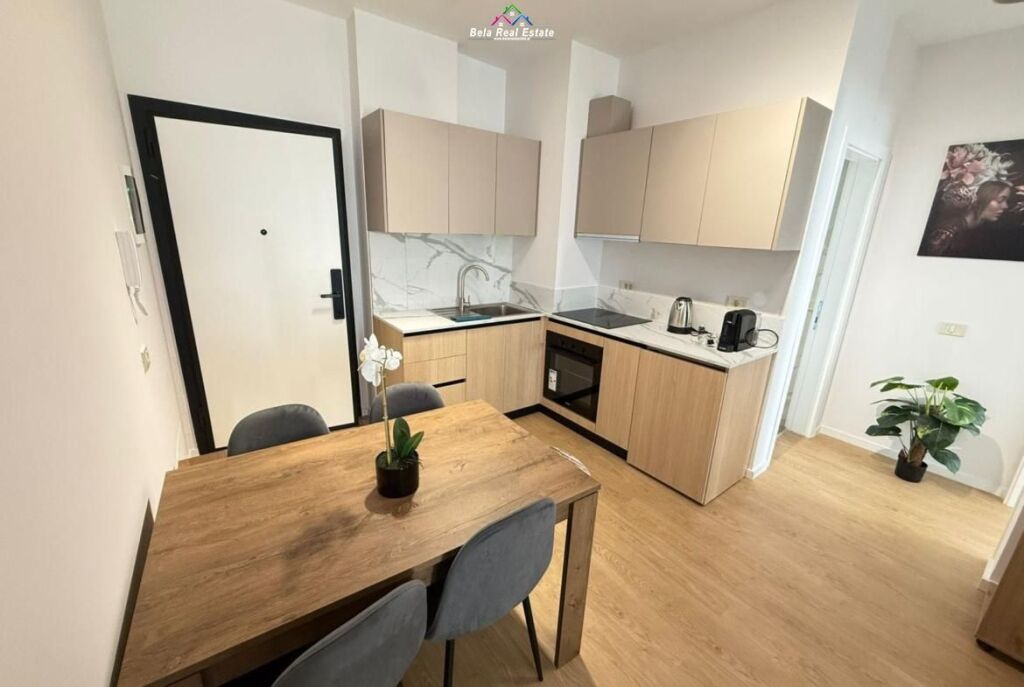 Apartament Me Qera 1+1 tek Mine Peza (ID B2101568) Tirane