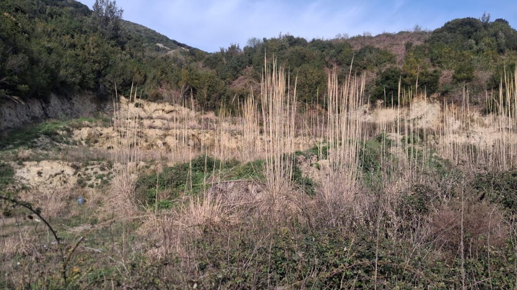 TERRENO IN VENDITA NEL GOLFO DI LALZ