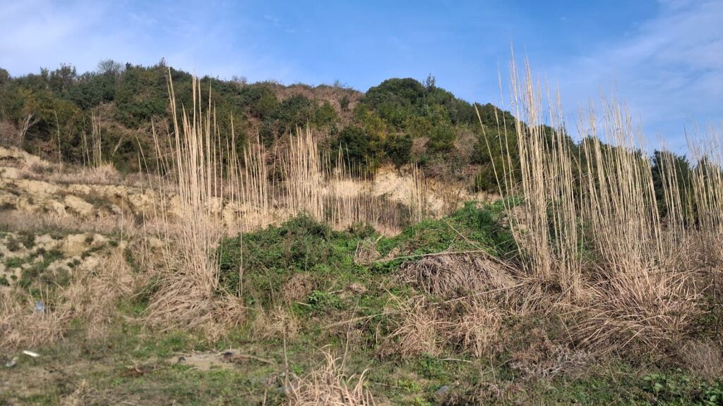TERRENO IN VENDITA NEL GOLFO DI LALZ