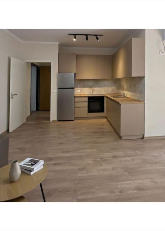 Apartment 1+1 For Rent Astir 500 € /Month Total Area 61m2