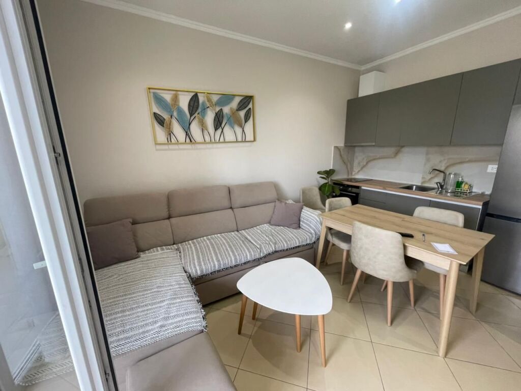 Apartament 1+1 me qira prane delijorgjit