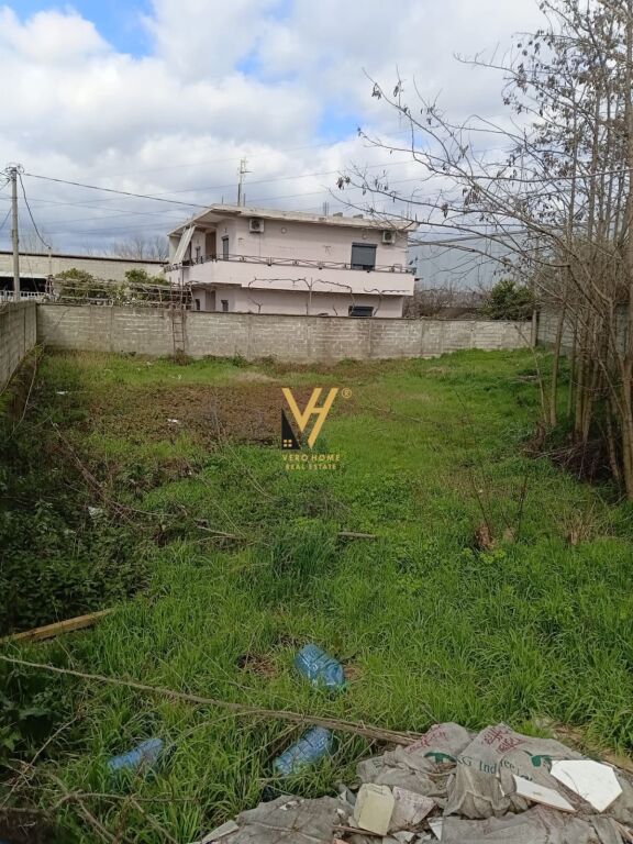 SHITET TOKE 600 M2 NE KASHAR 120.000 EURO