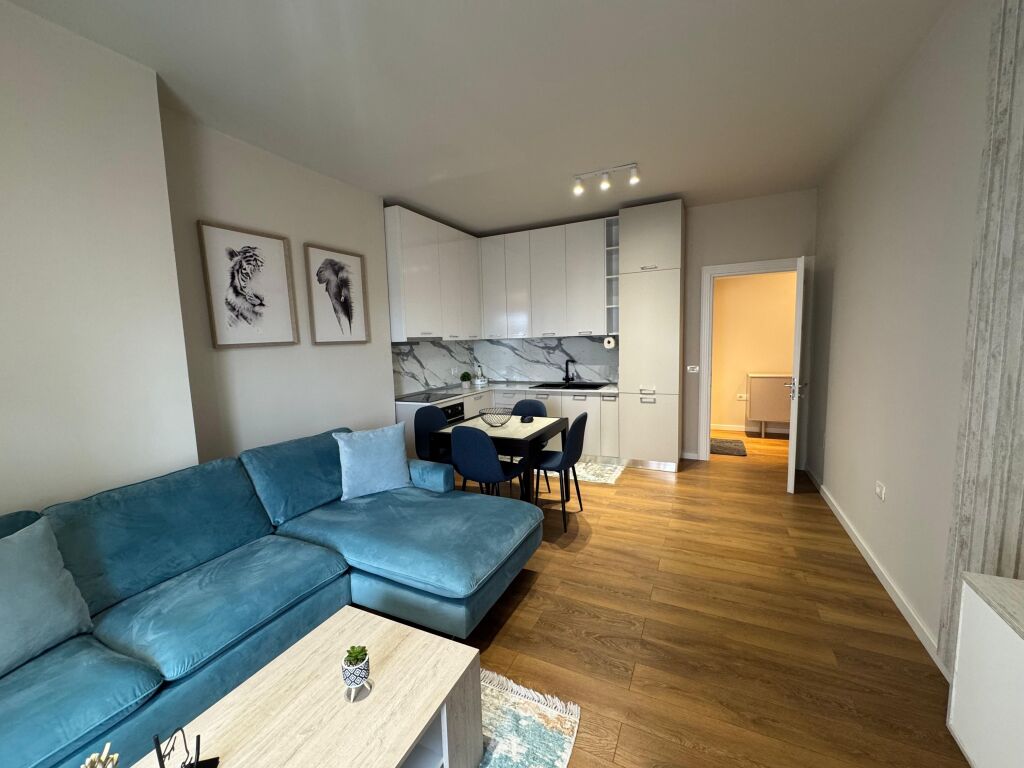 Apartment 1+1 for rent