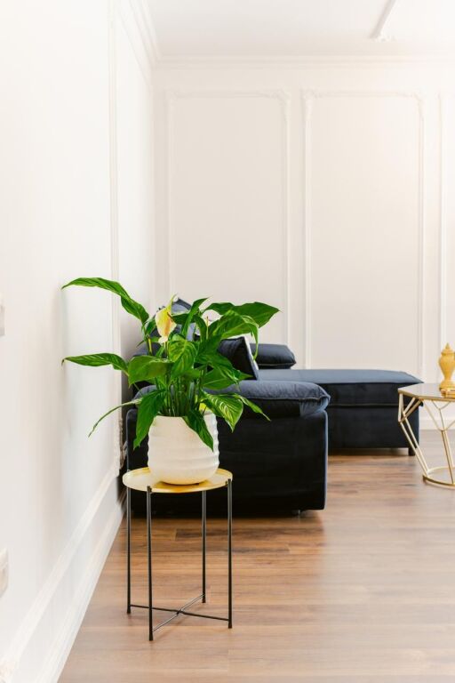 Astir 1+1 For rent (ADM, WI-FI, Water included)
