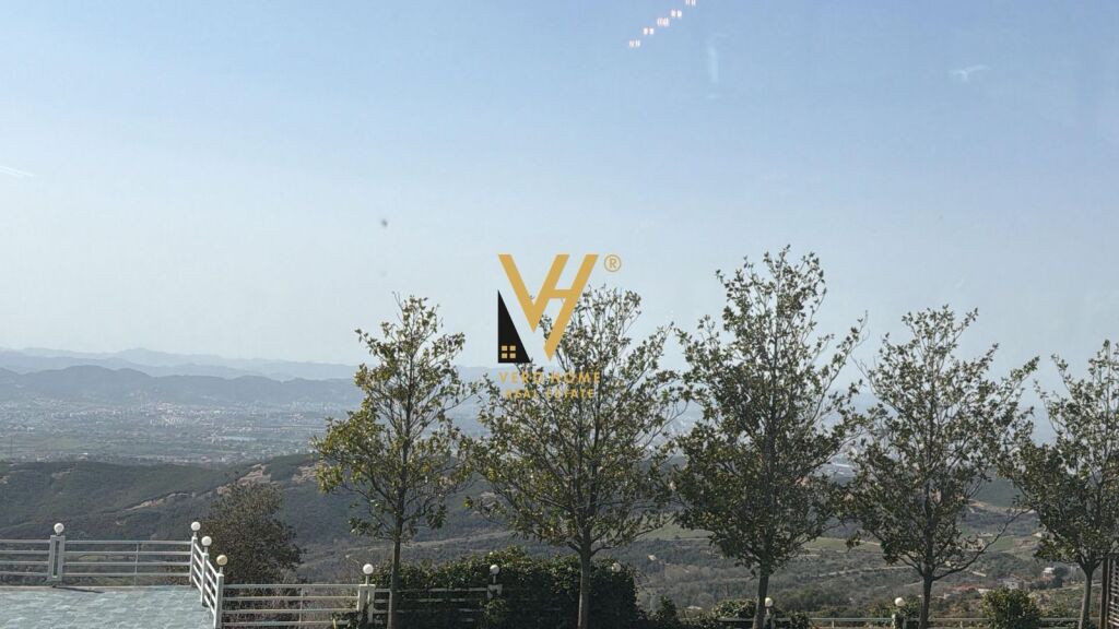 TERRENO ULIVETO IN VENDITA 3.000 M2 A SURREL 300.000 EURO